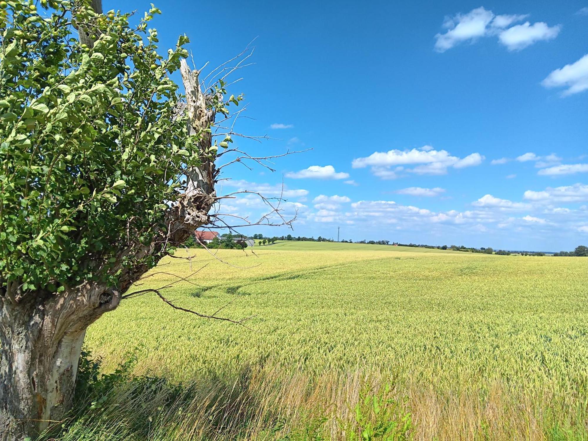 Roter Milan Apartment Kaisitz ภายนอก รูปภาพ